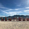 mareamnis04